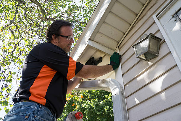 Best Same-Day Junk Removal Services  in Mayo, FL